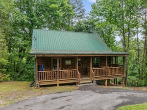 Front of Moonlit Pines