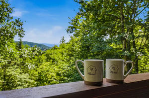 Start mornings with fresh mountain air and stunning views framed by lush greenery—your peaceful escape awaits from this scenic outdoor space.