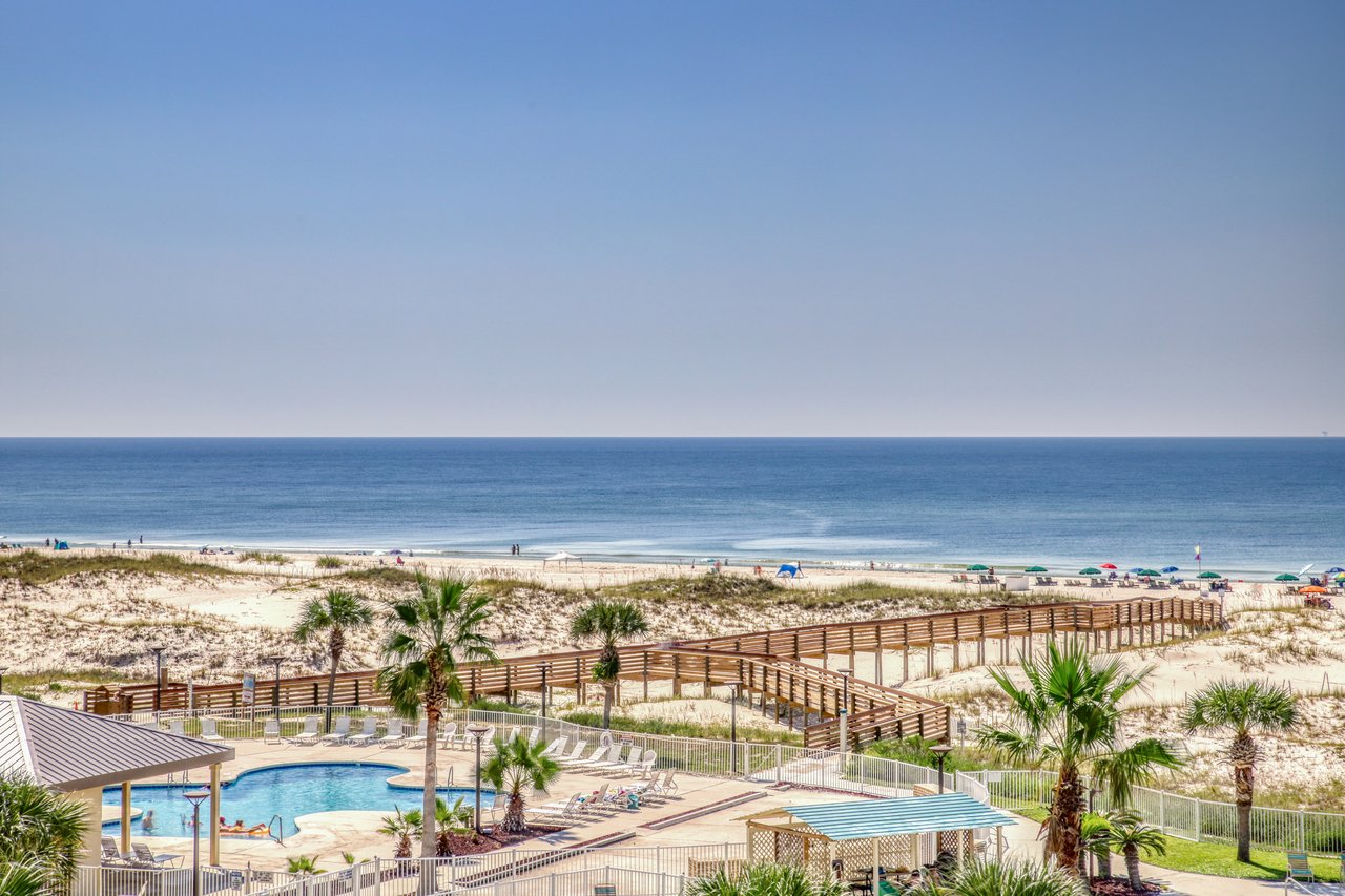 Plantation Palms 6511 2