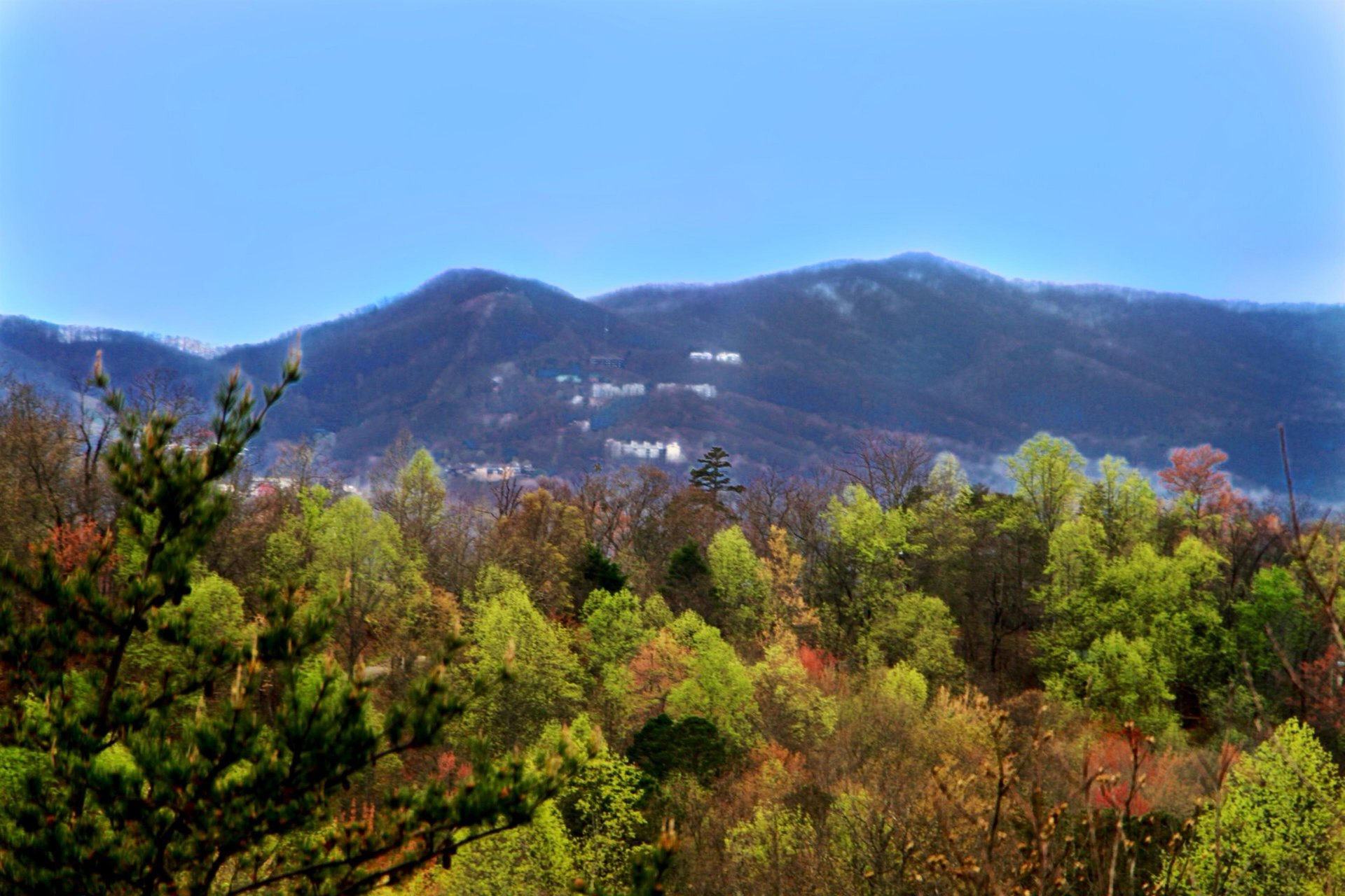 View