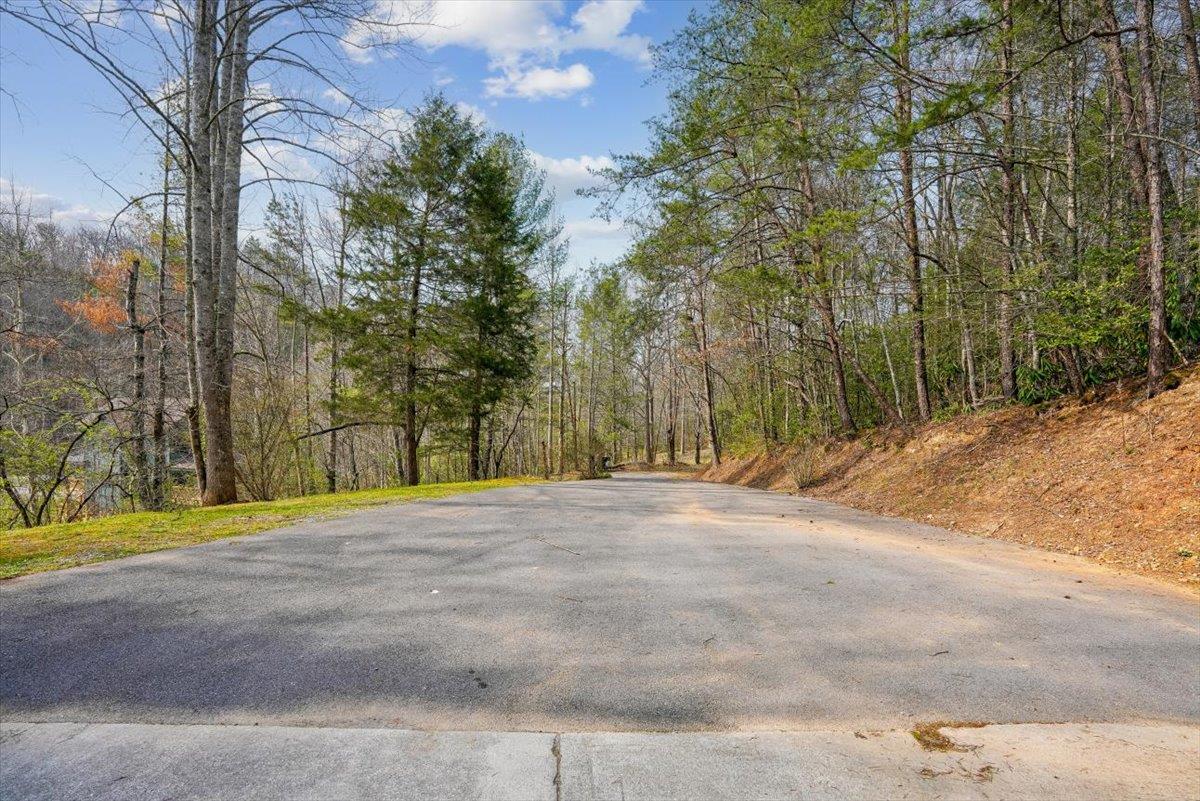 54Driveway