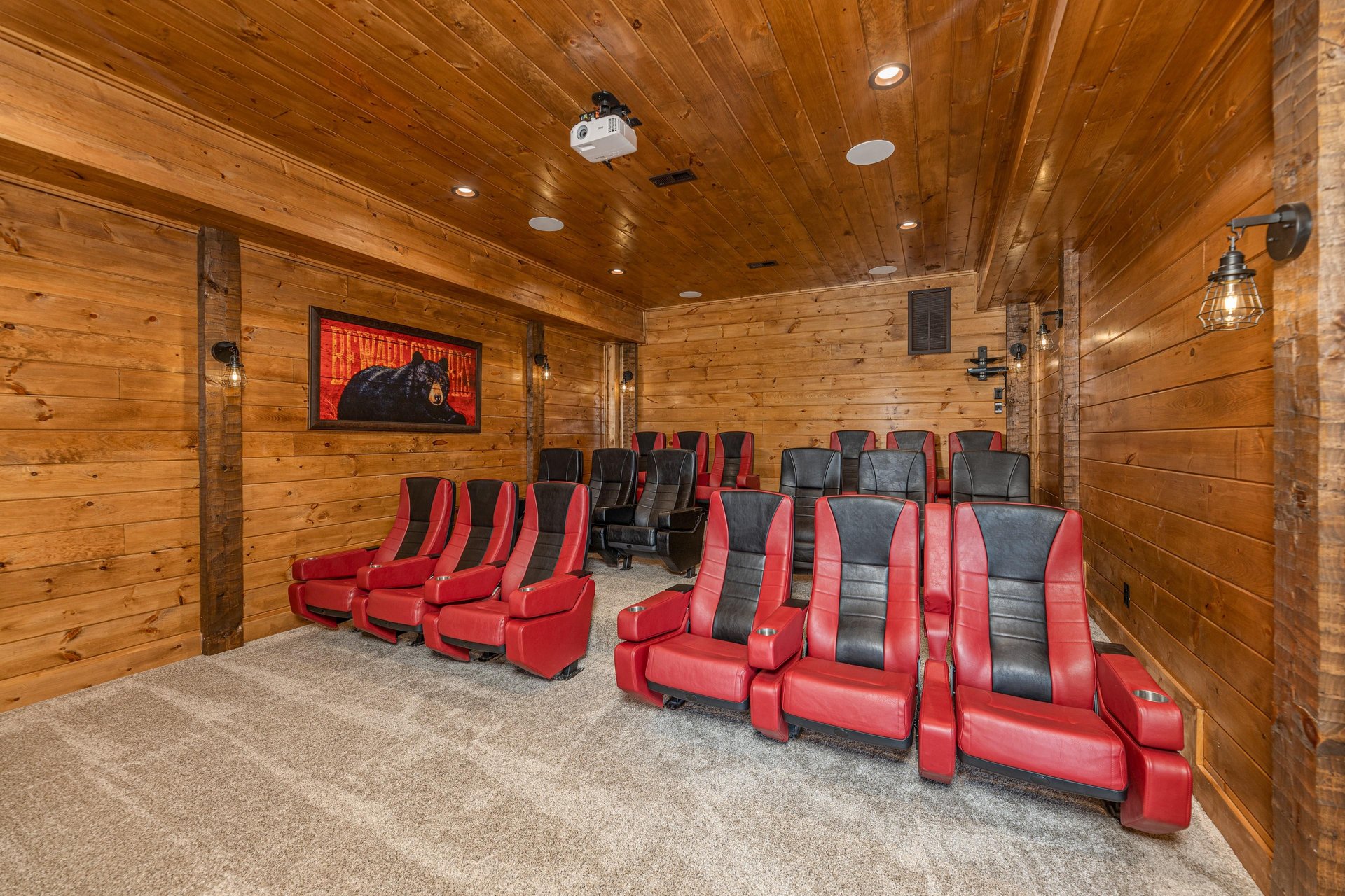 Home theater with seating for 18