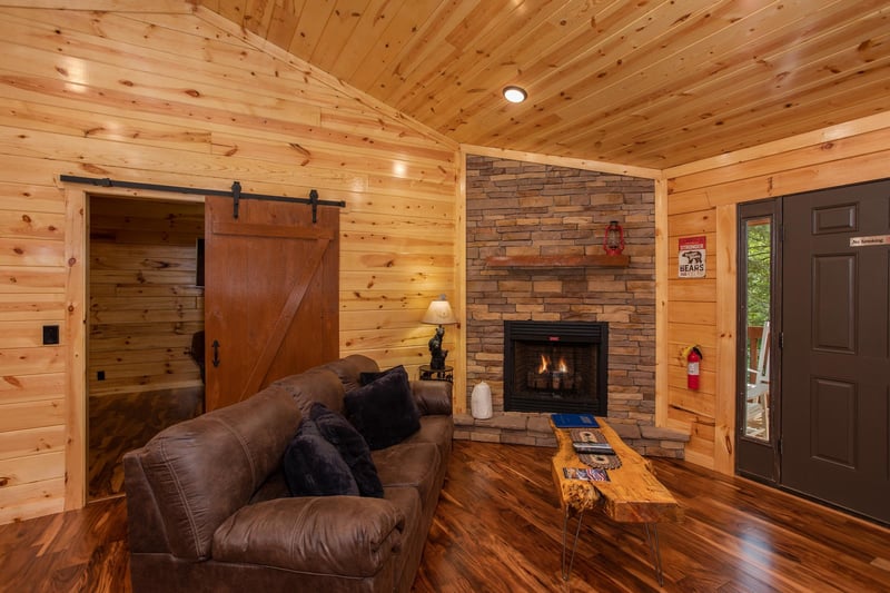 Cozy Fireplace and Couch
