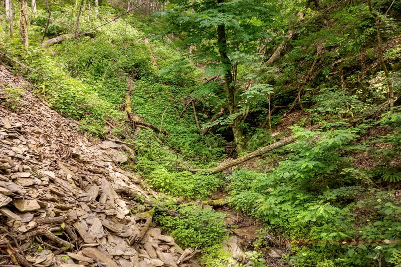 abovethecreek23