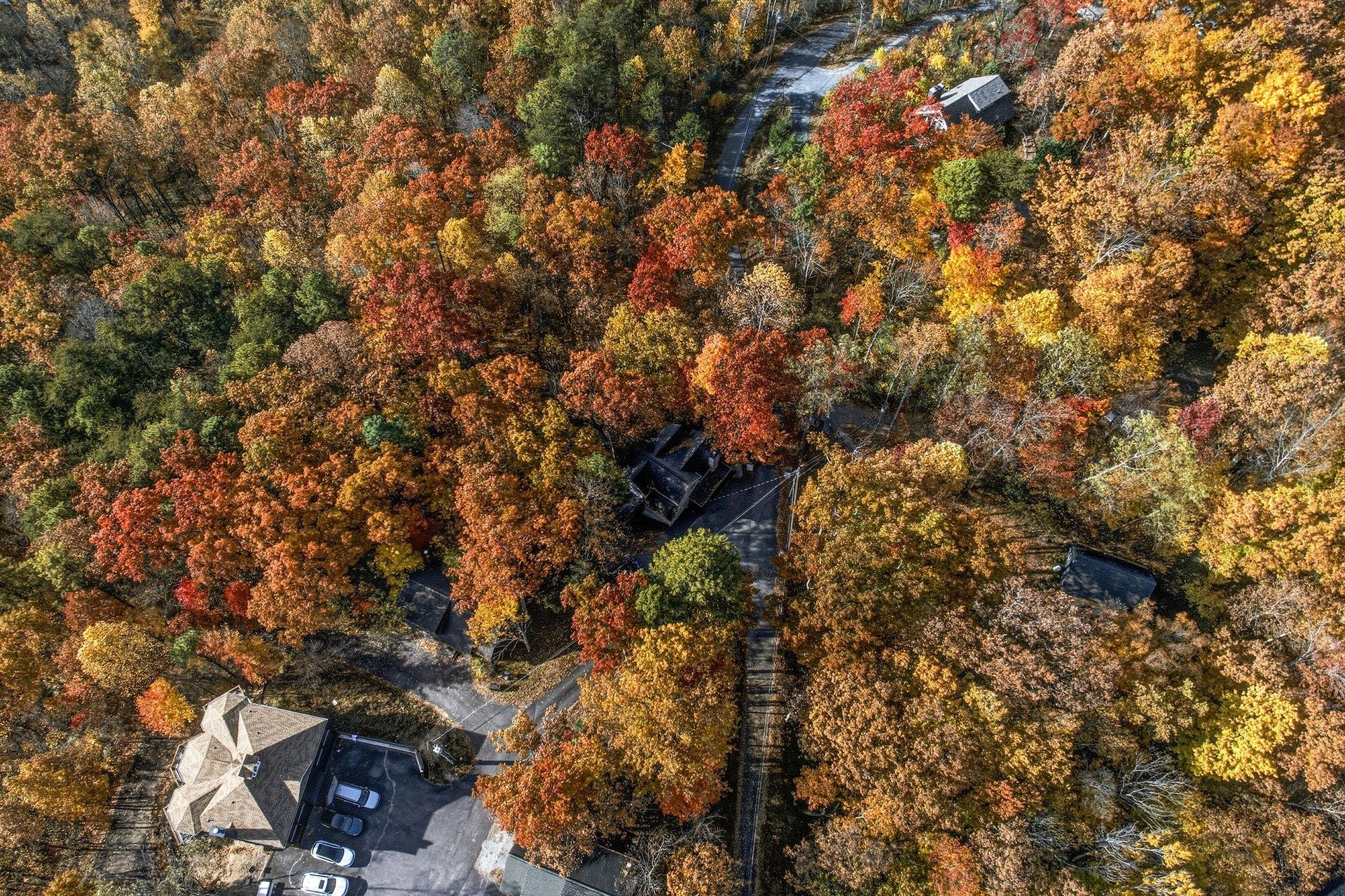 Aerial Property View
