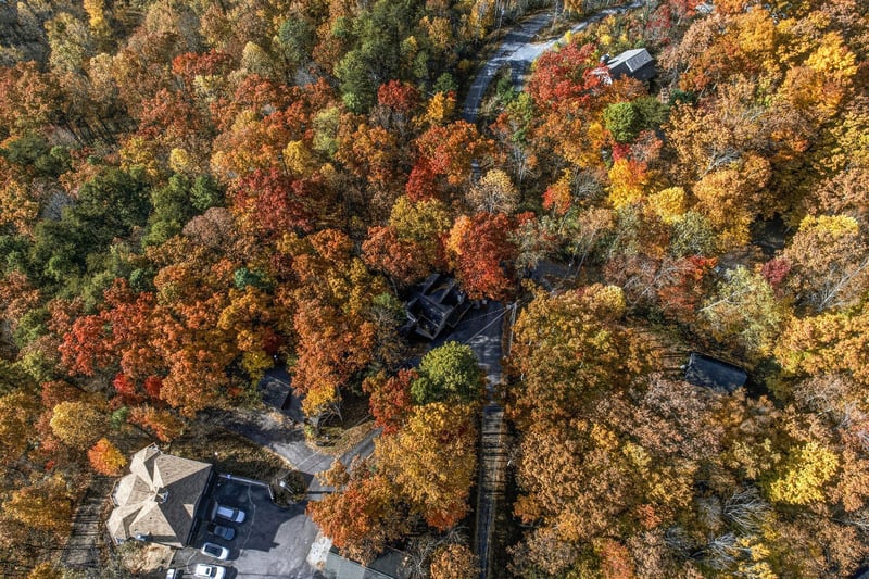 Aerial Property View