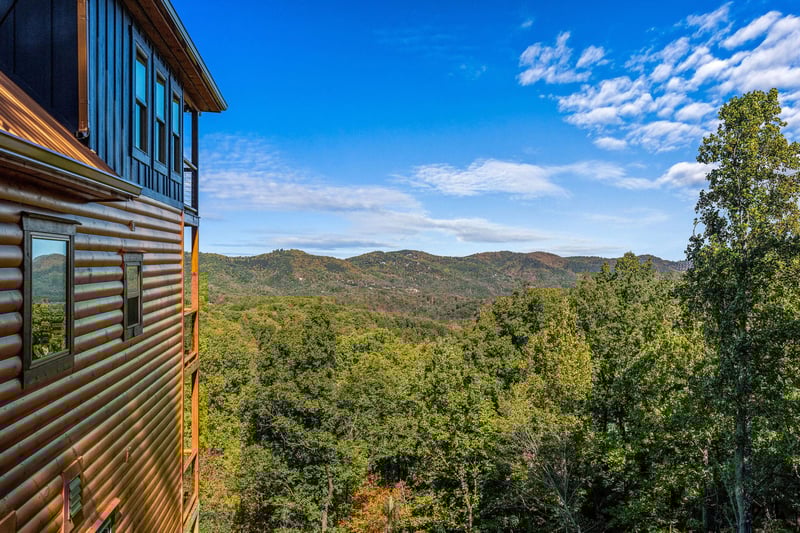 otterbeswimmingfall7