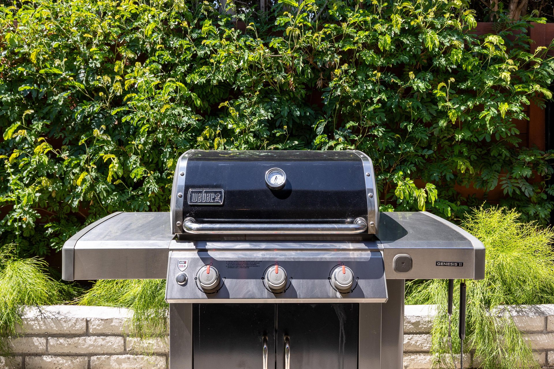 BBQ