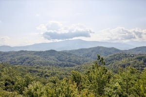 A Million Dollar View