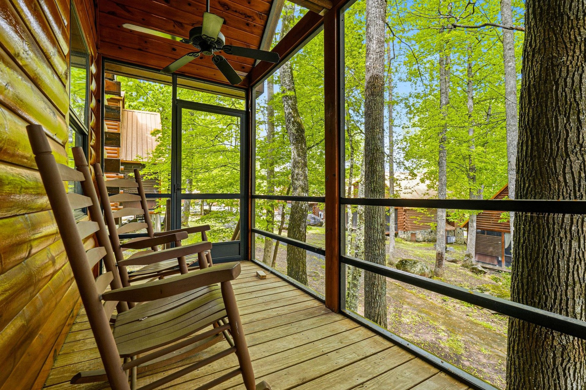 Relax in your screened porch with rocking chairs, surrounded by towering trees and peaceful forest views.