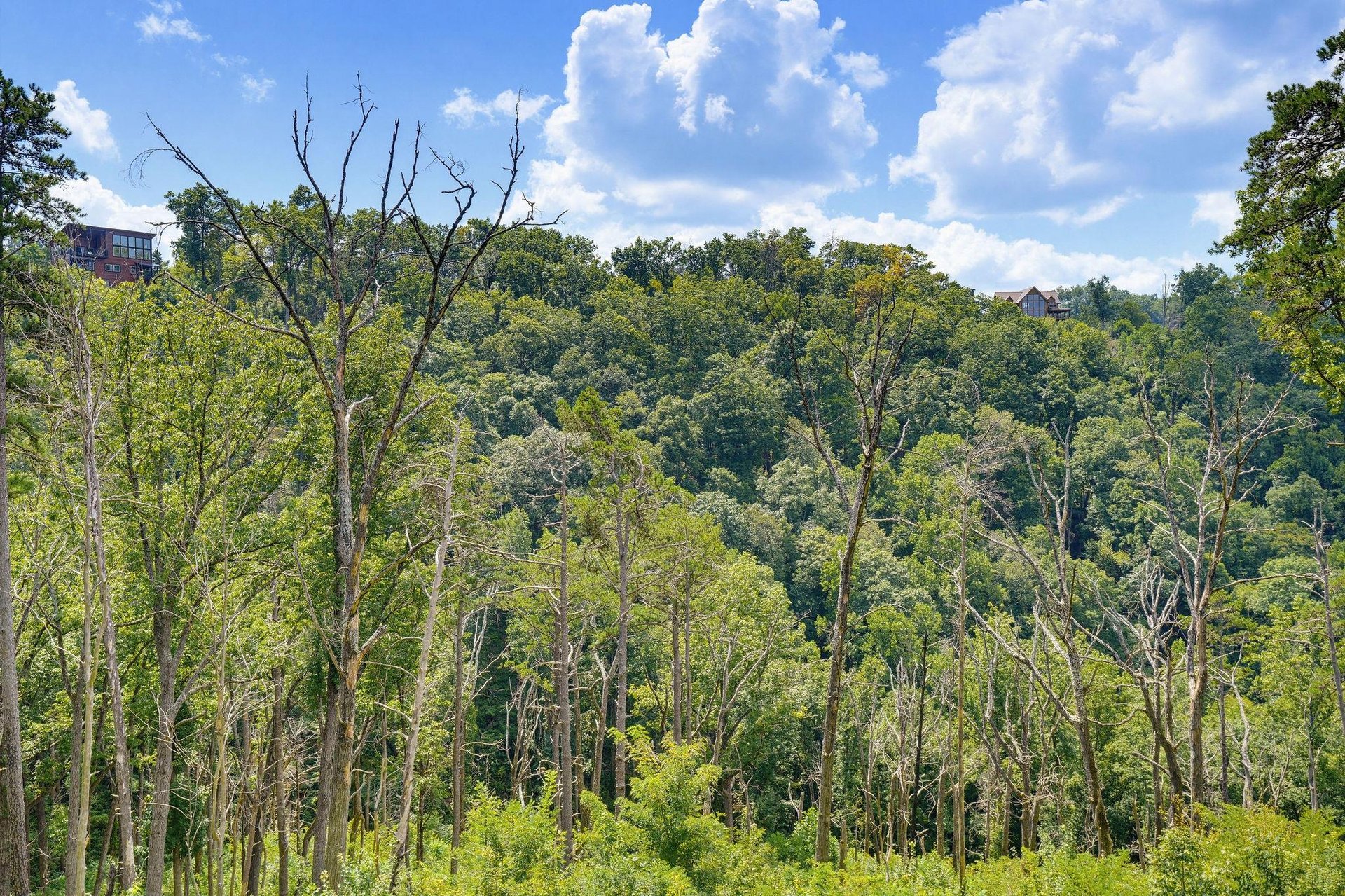 Rolling forested hills stretch toward the horizon under bright blue skies, offering a serene natural backdrop near the property.