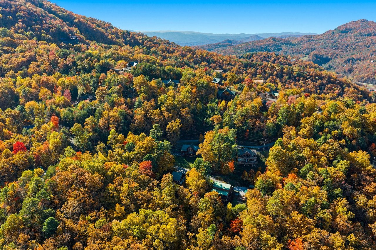 bearmontlodge67
