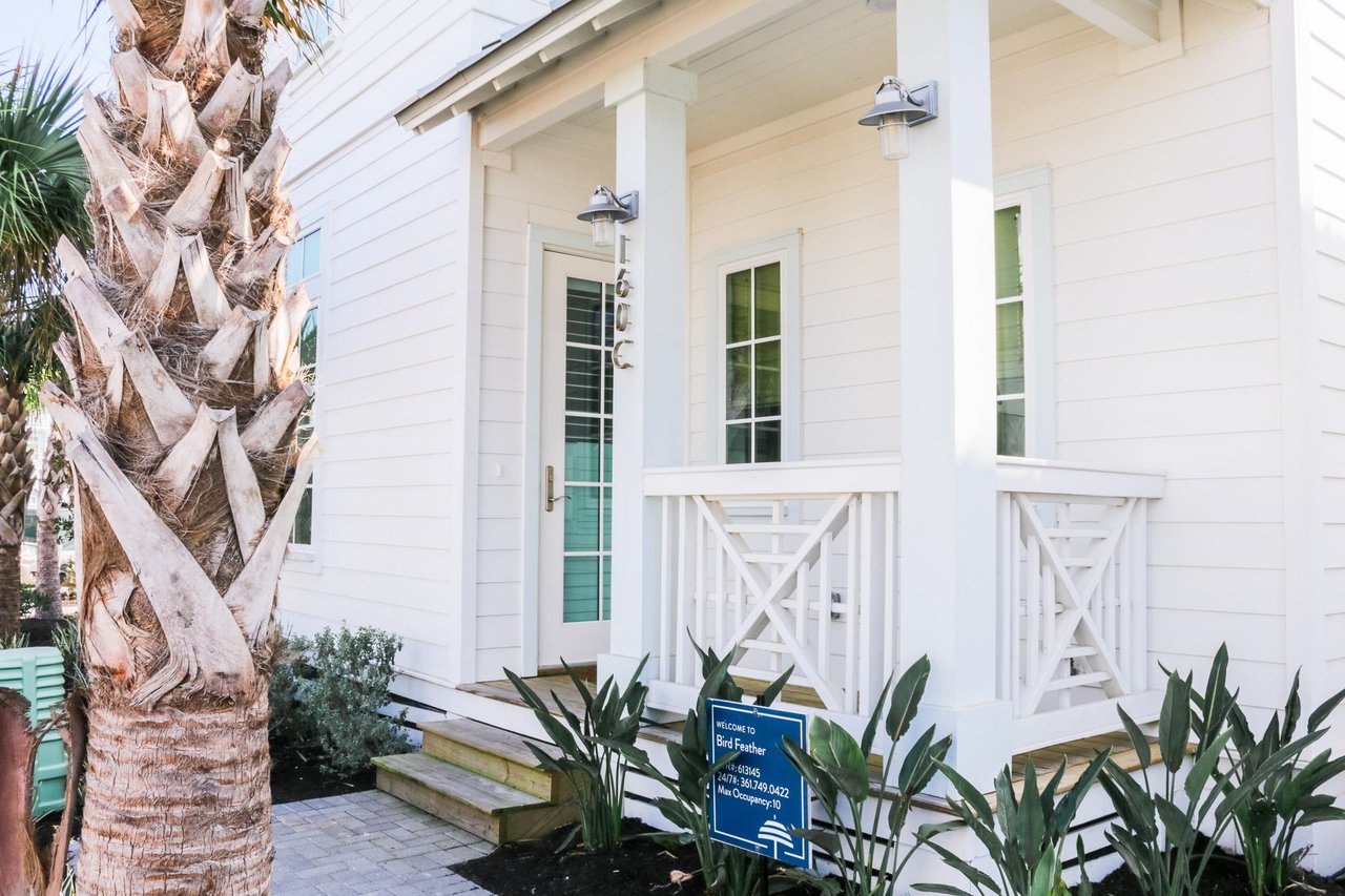 Welcome to Bird Feather