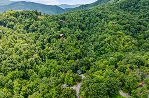 Aerial Property View