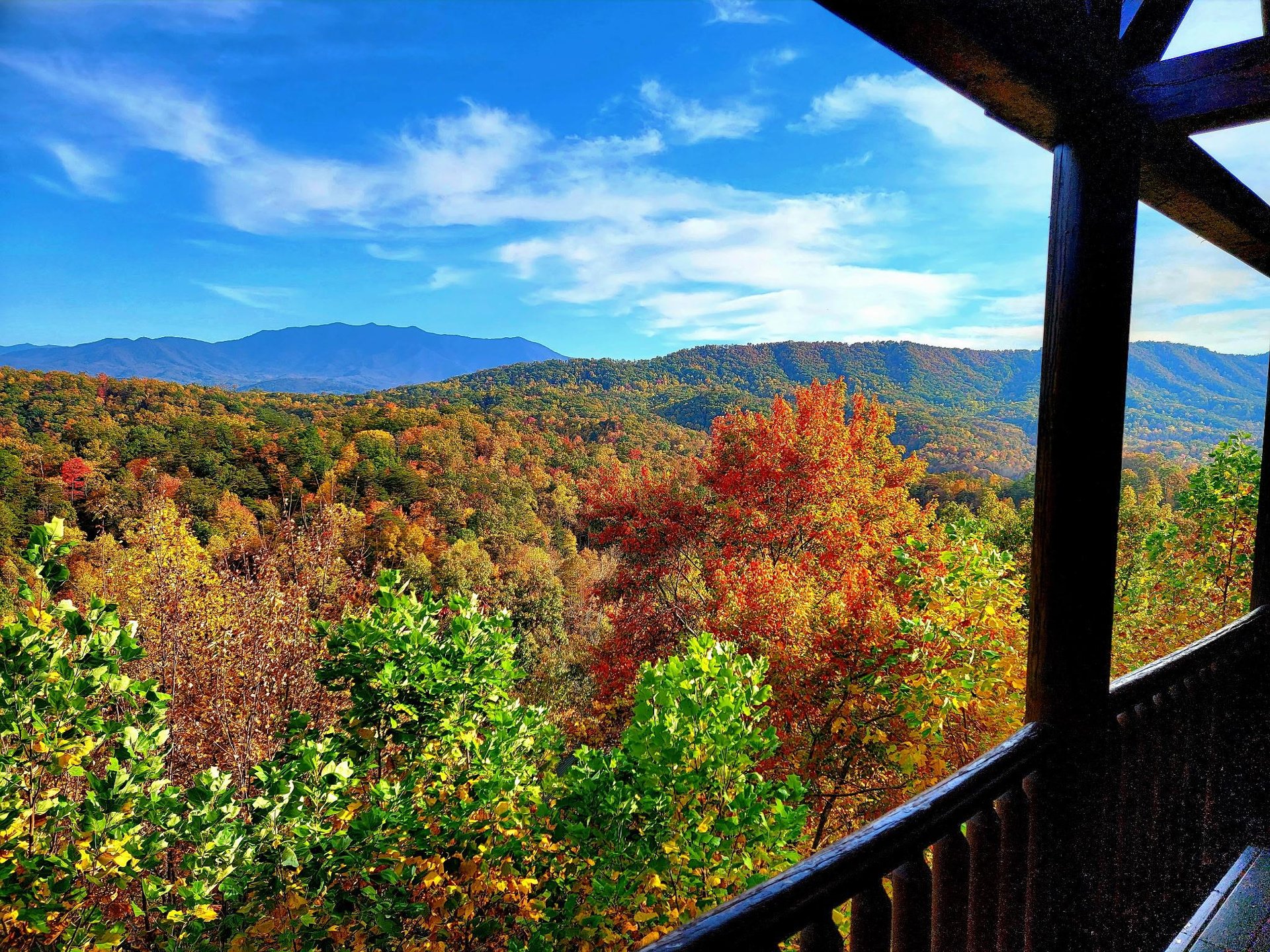 Exterior Shot View Autumn