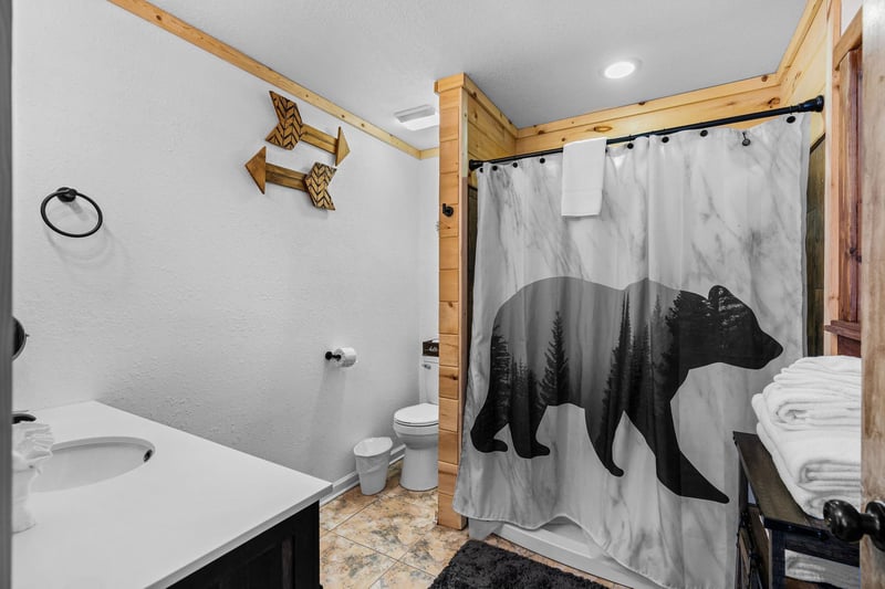 Toilet with divider wall to shower