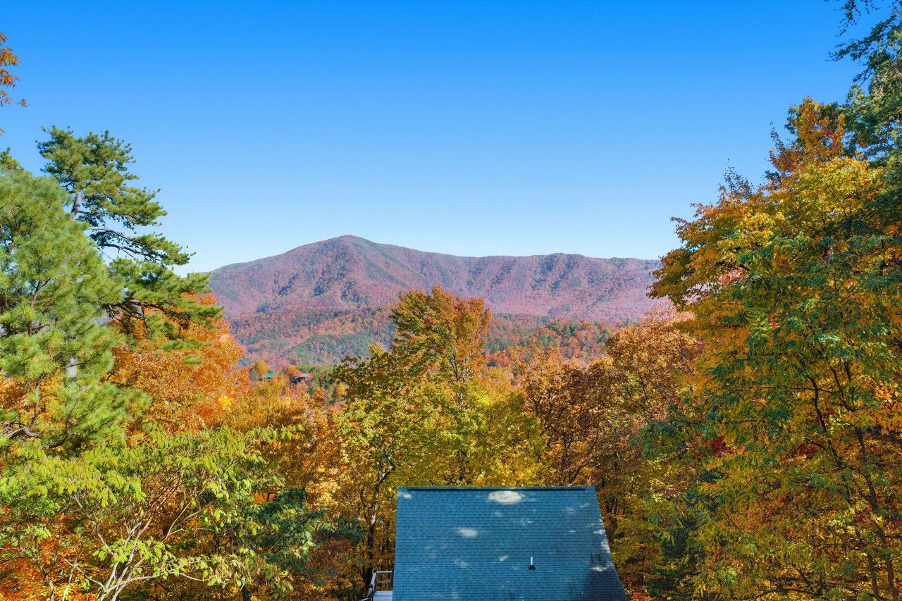 bearmontlodge33