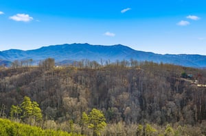 Stunning mountain landscape with layered ridges and rolling forested hills stretching toward distant peaks under bright blue skies.