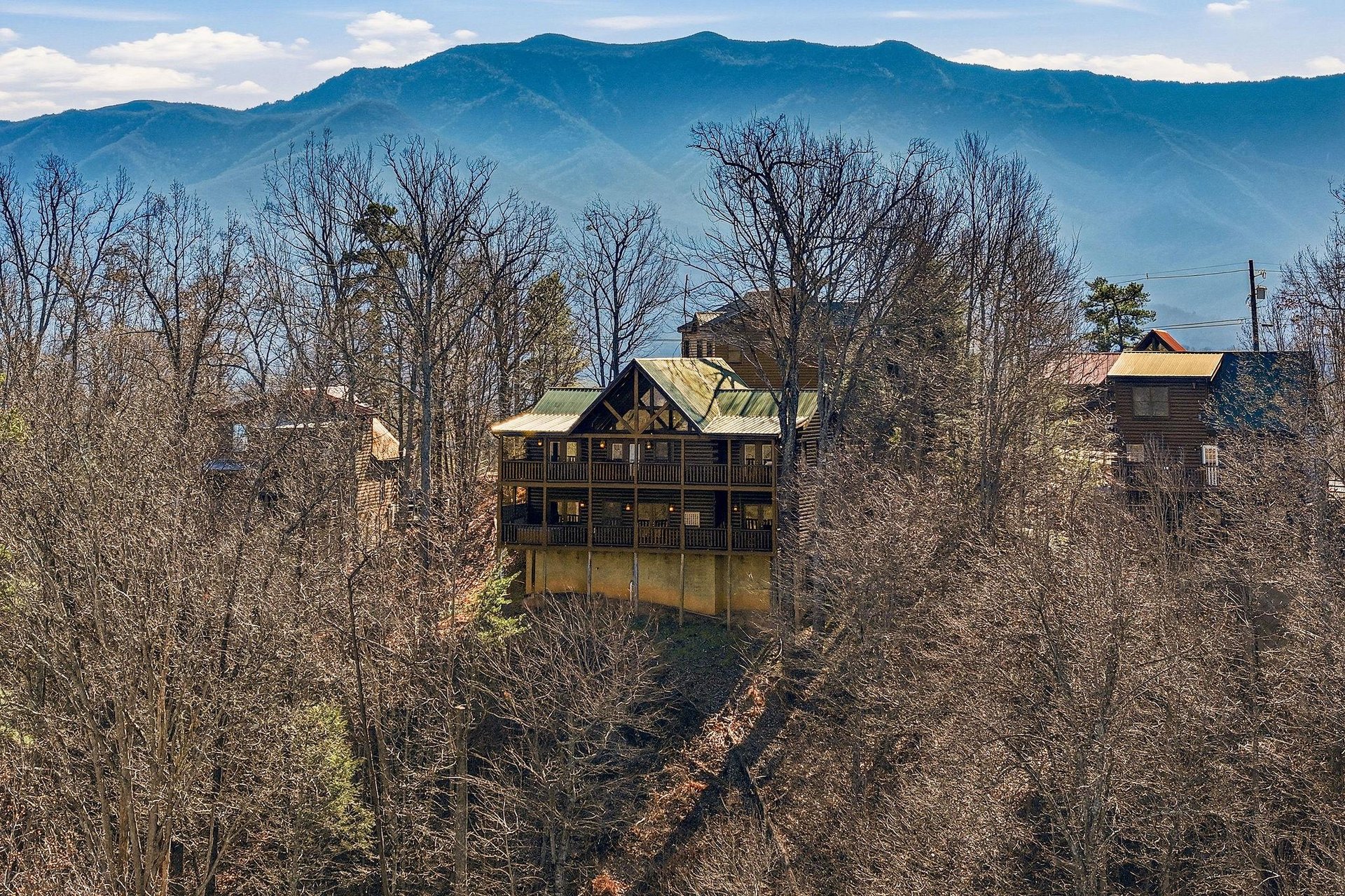Mountain cabin nestled among winter trees with stunning Blue Ridge peaks creating a peaceful backdrop for your getaway.