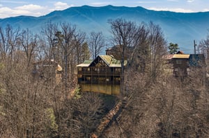 Mountain cabin nestled among winter trees with stunning Blue Ridge peaks creating a peaceful backdrop for your getaway.
