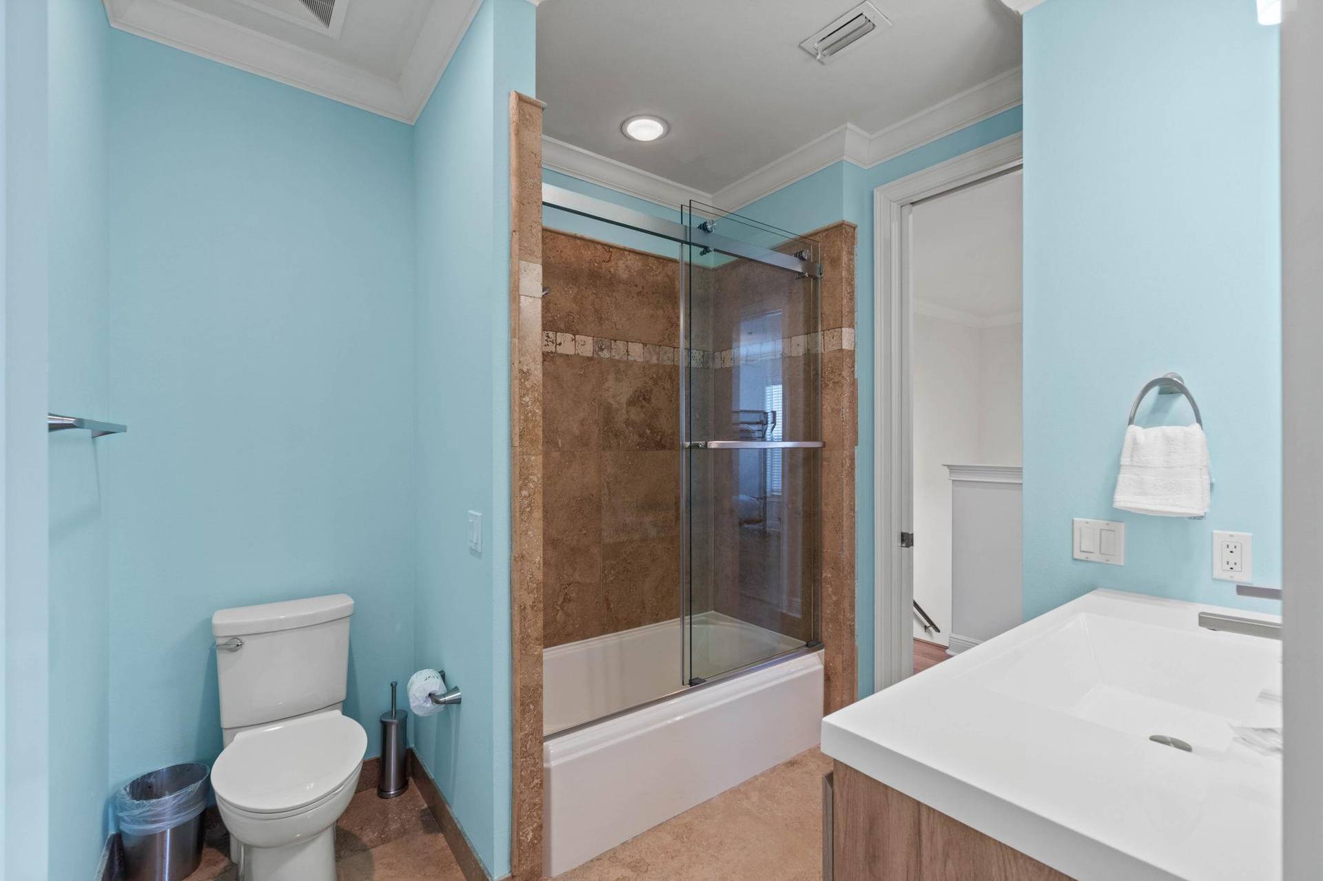 Guest Bathroom 2