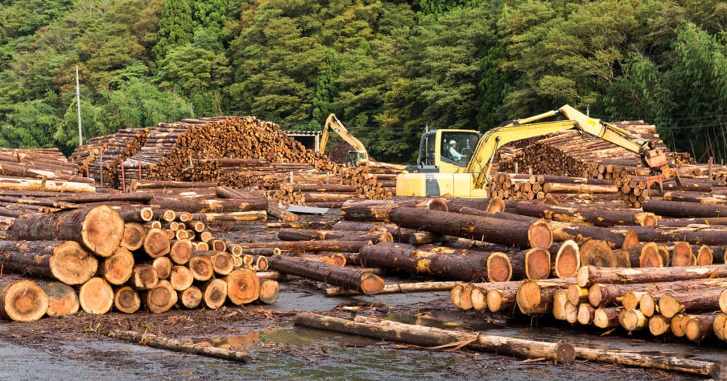 Lumber yard with stacked lumber
