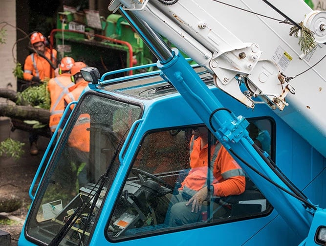 Crane Compliance Software Built for Audits