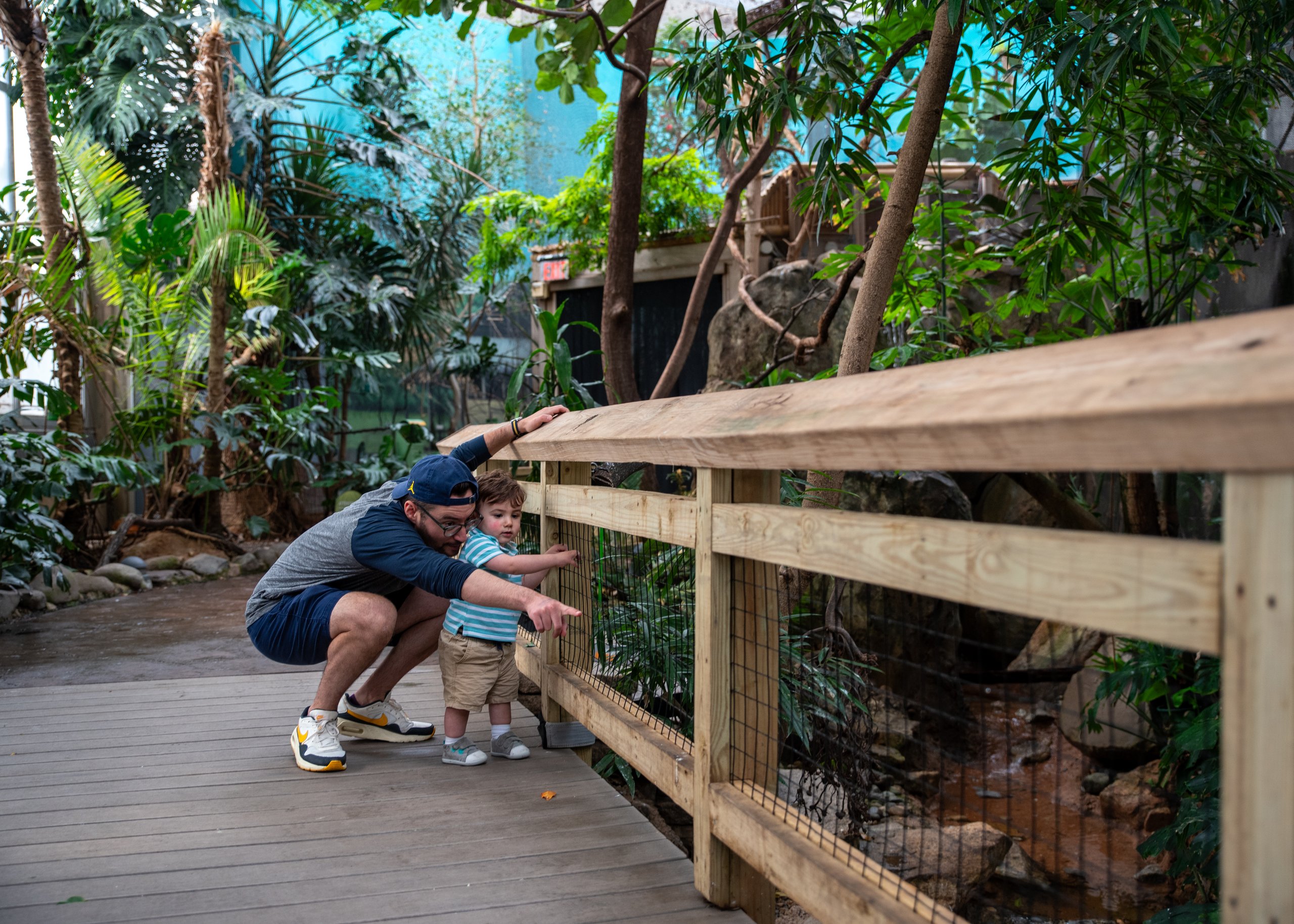 A father and his small child look excitedly at a bird in the McNeil Avian Center walkthrough rainforest exhibit at Philadelphia Zoo.