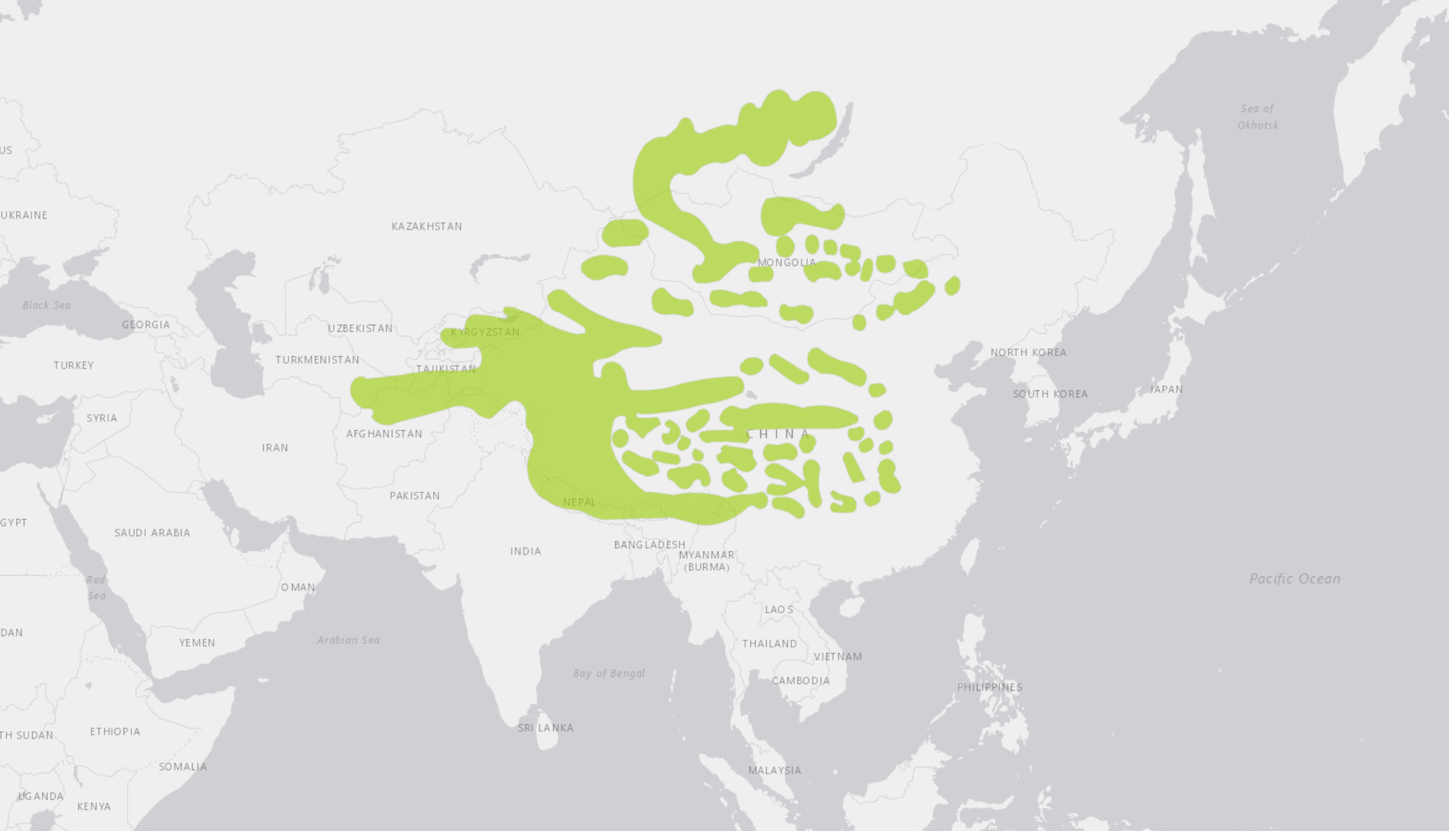 A map detailing the range of snow leopards, which includes at least 10 international boundaries of China, Tibet, Mongolia, Bhutan, Sikkim, Nepal, India, Pakistan, Afghanistan, and Russia.
