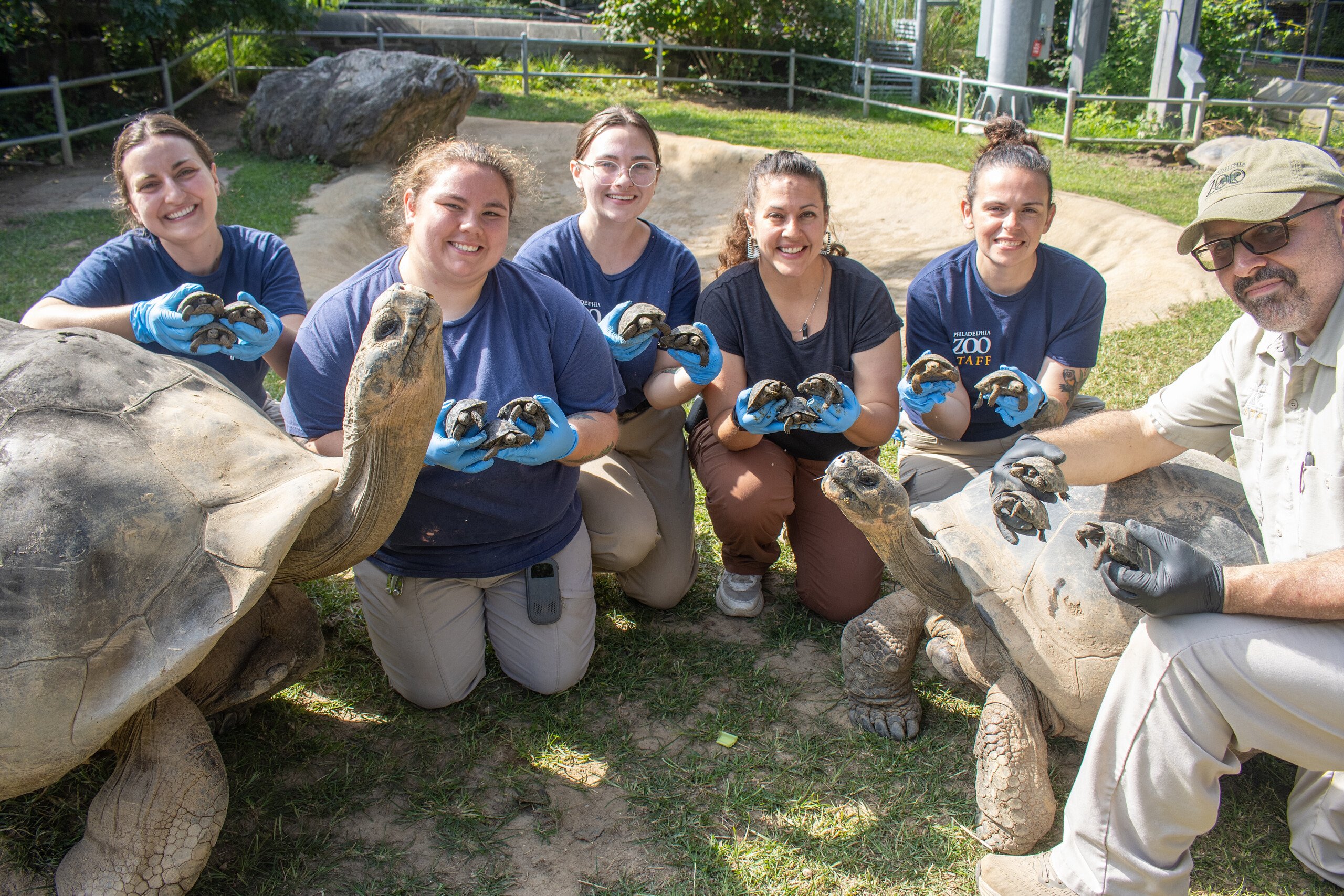 Abrazzo (left) with hatchlings and Mommy (right)