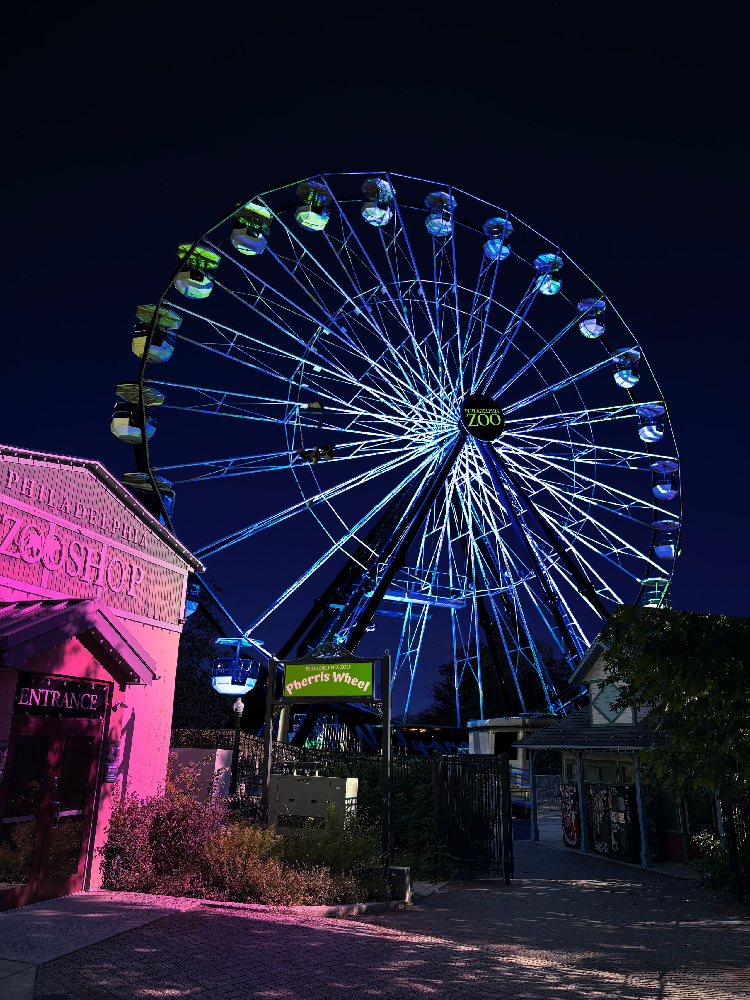The Philly Zoo Pherris Wheel, a new addition to the Zoo's LumiNature holiday light show, lights up in the night sky.