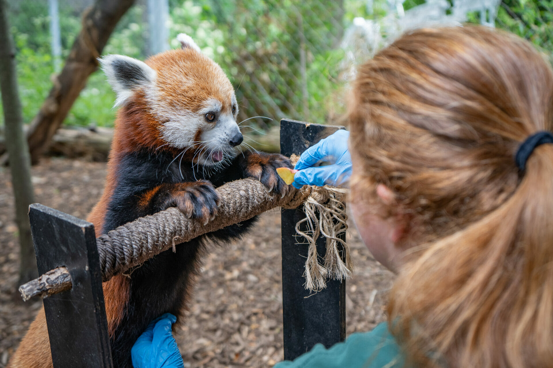 Celebrating National Zookeeper Appreciation Week