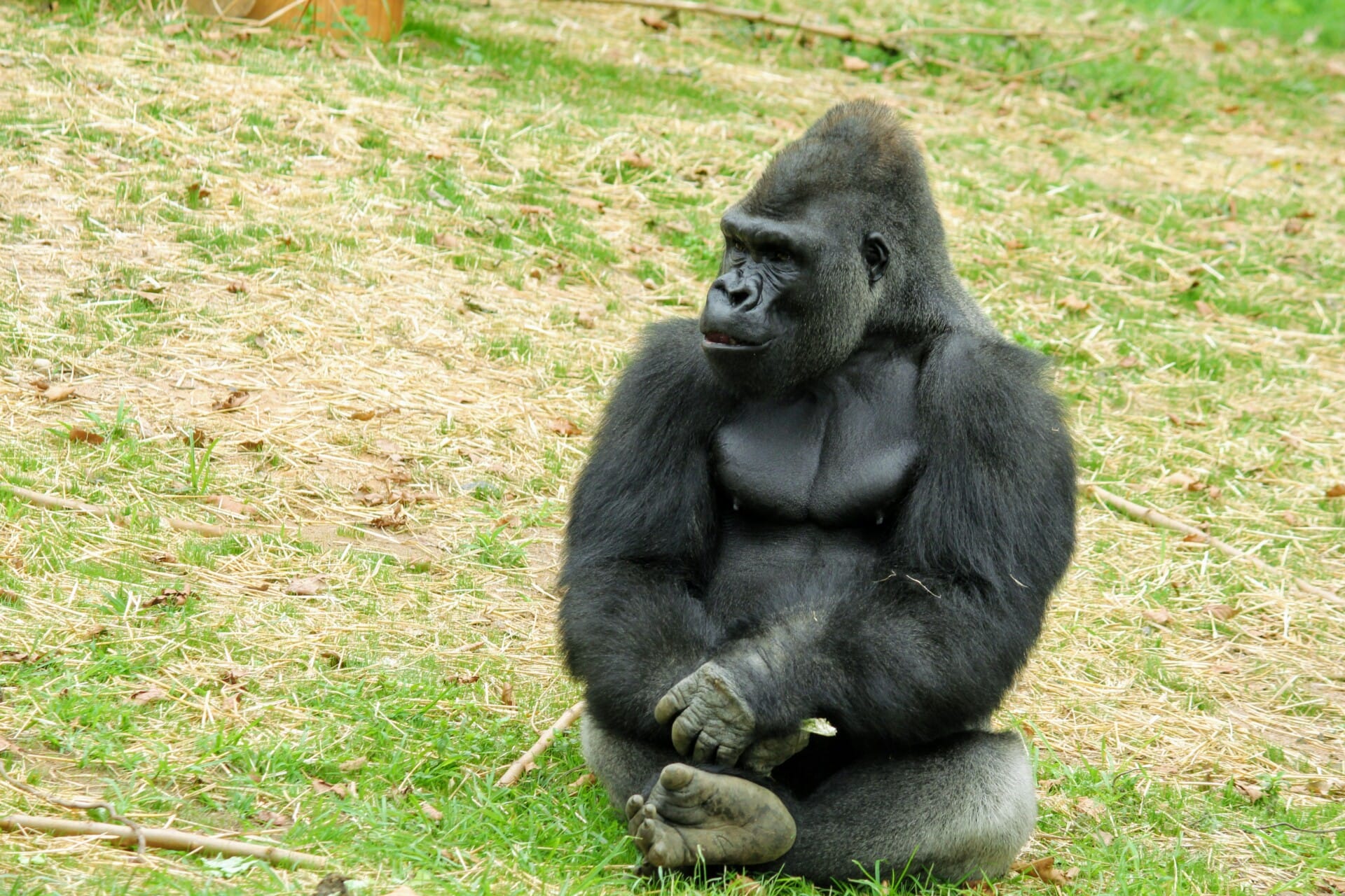 AZA Reciprocity Program Philadelphia Zoo