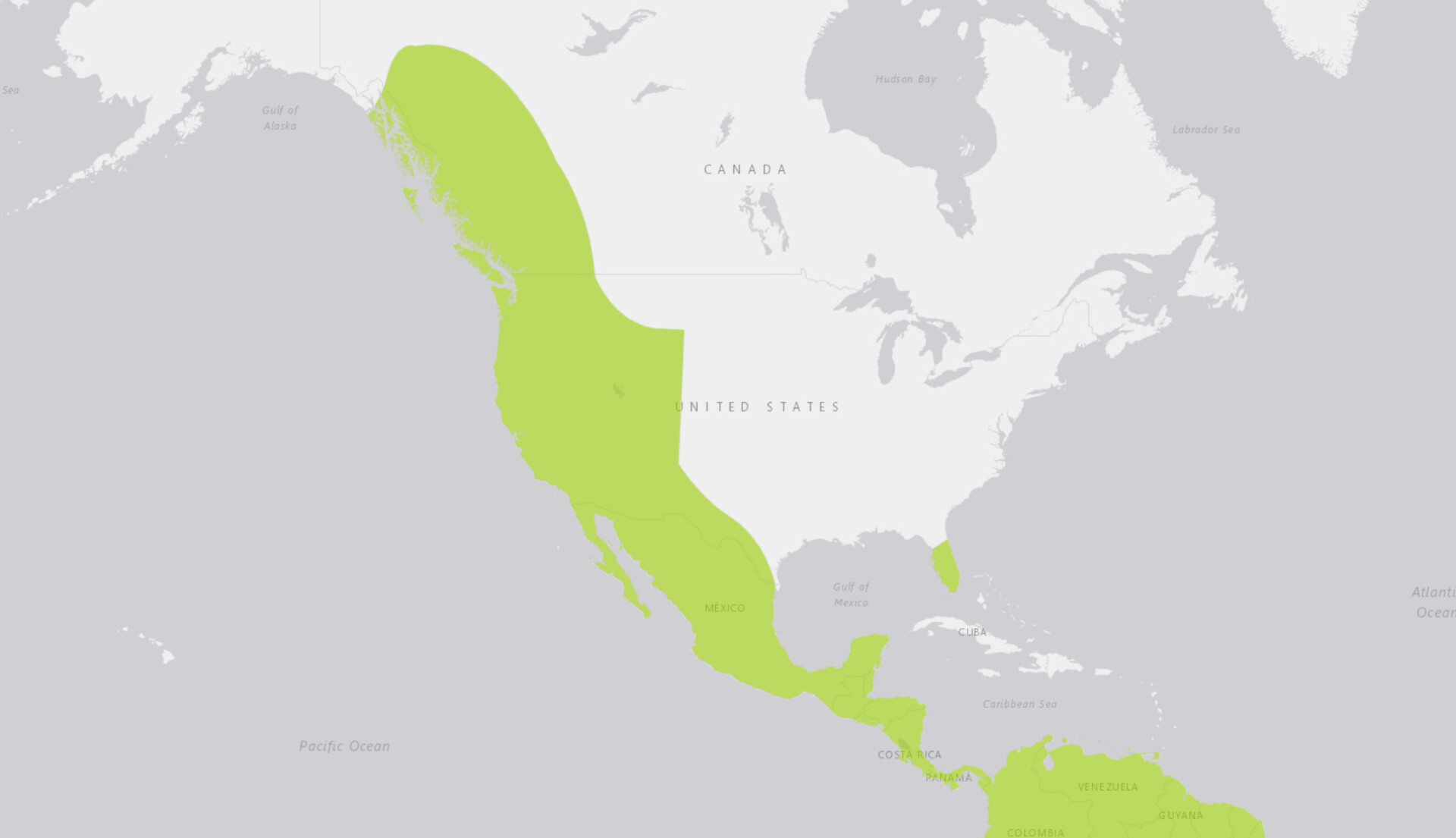 puma range north america