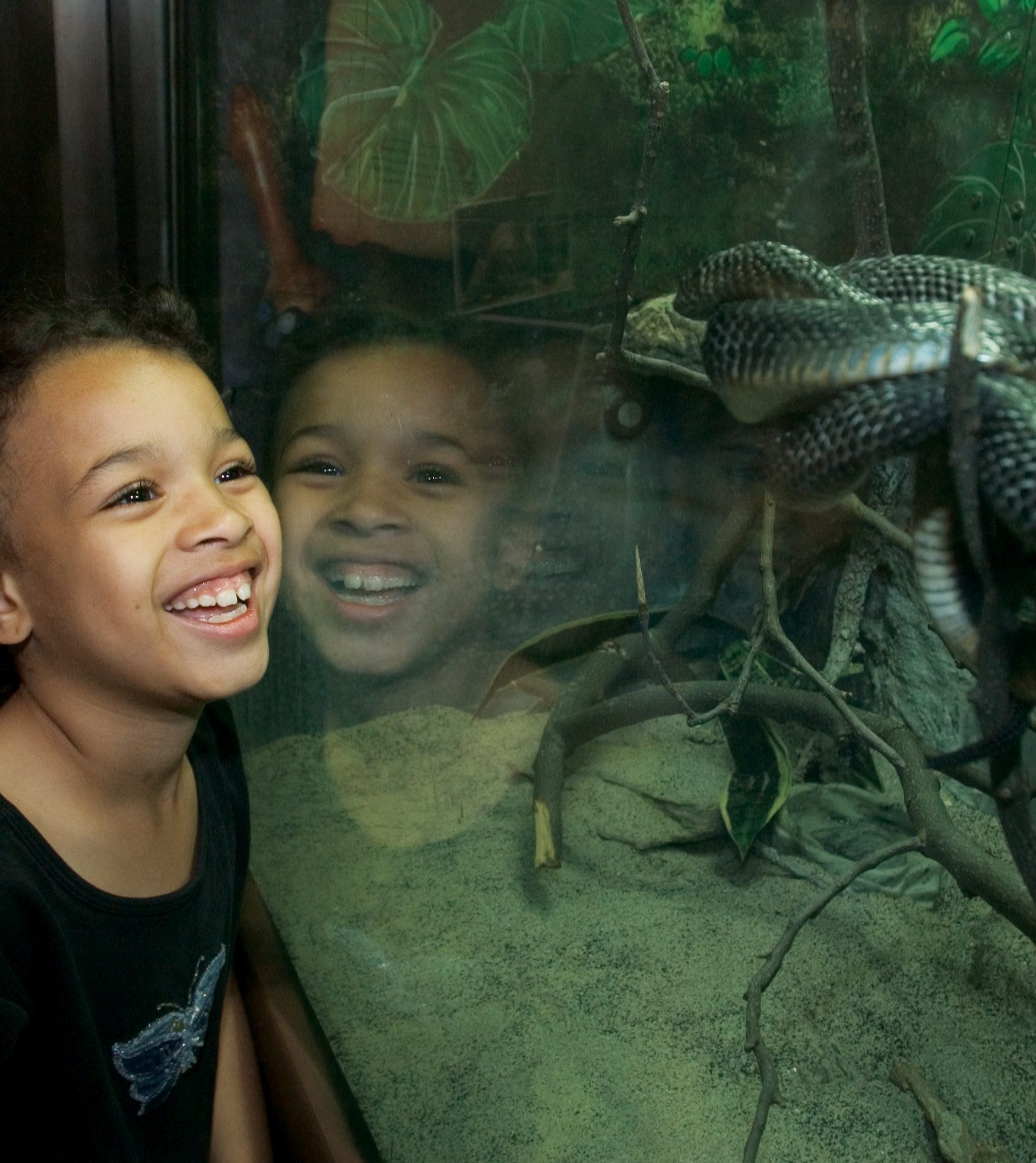 America's First Zoo History in the Making Philadelphia Zoo