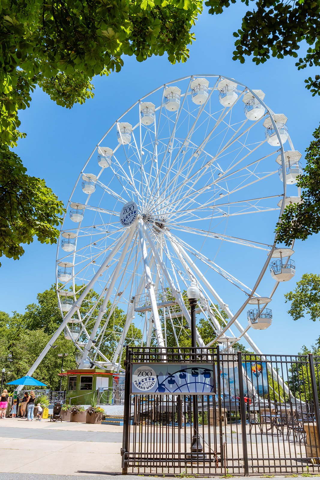A photo of the Philly Zoo Pherris Wheel during the day.