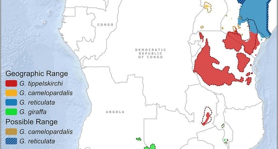 Reticulated giraffe range