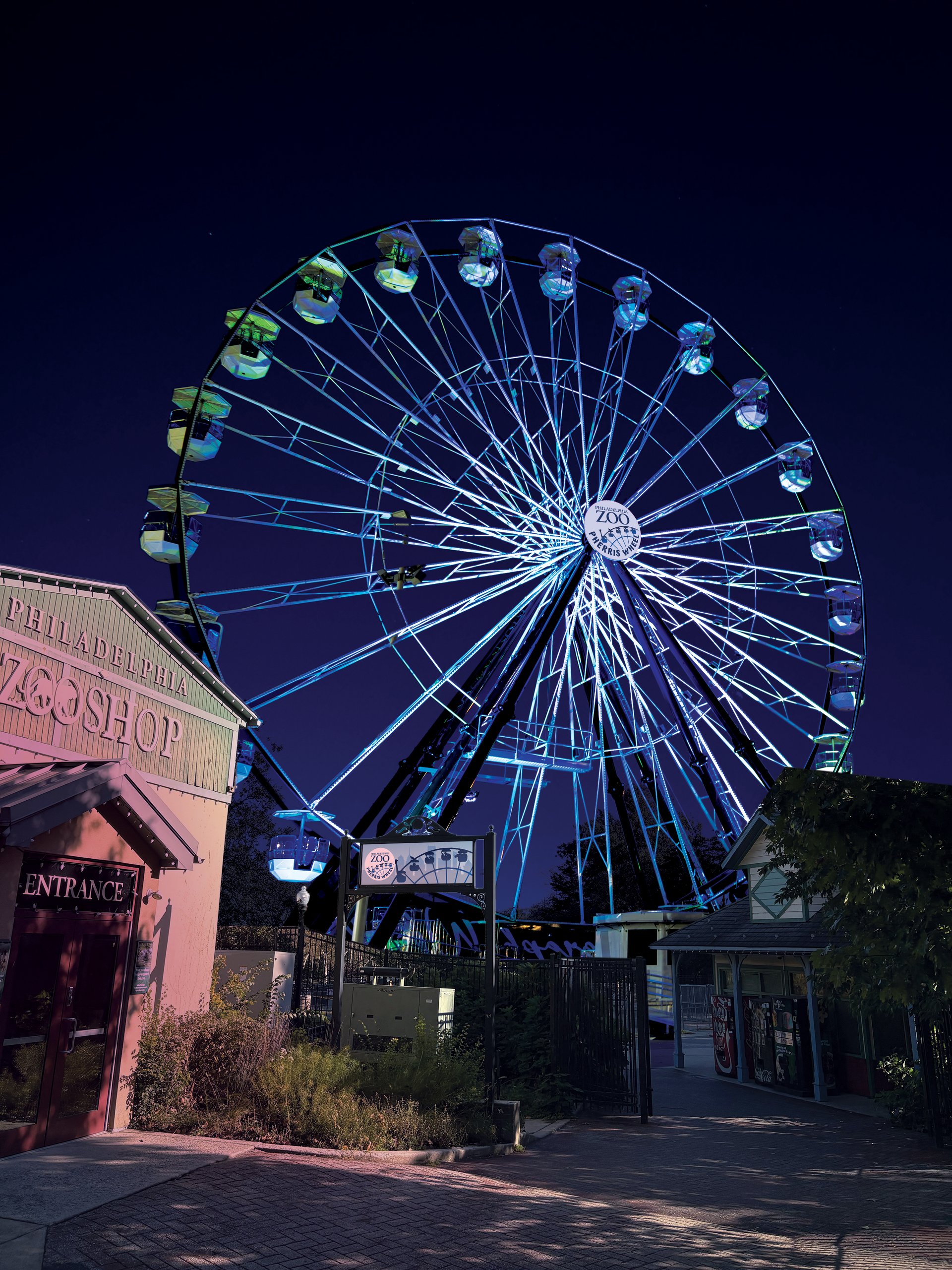 An image of the ferris wheel installed at Philadelphia Zoo as part of the LumiNature winter light show.