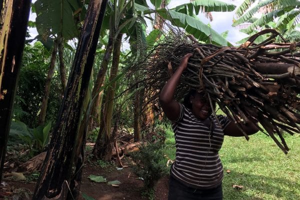 New Nature Foundation 04