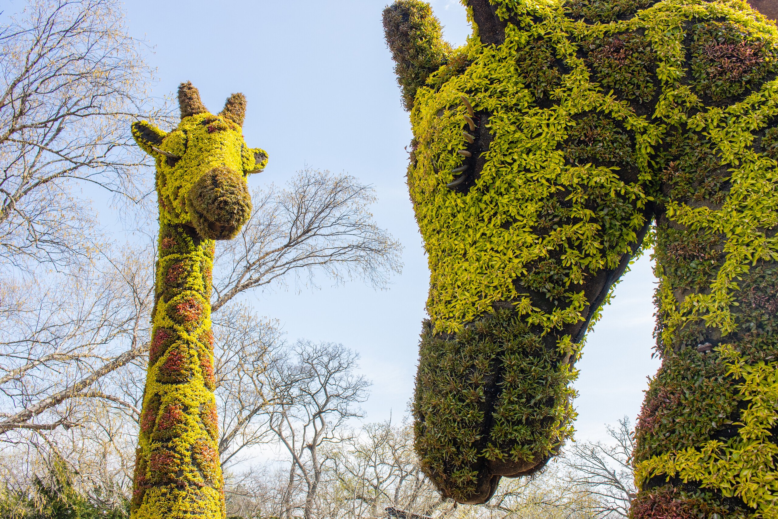 Philadelphia Zoo Announces Spring Garden Refresh with Pennsylvania