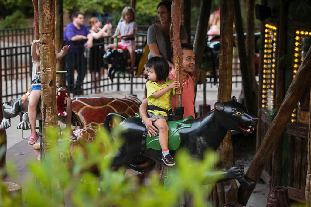 Amazon rainforest carousel