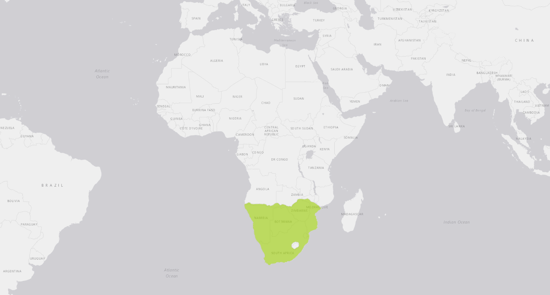 Southern White Rhinoceros range