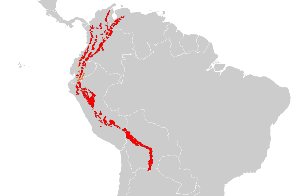 Andean spectacled bear range