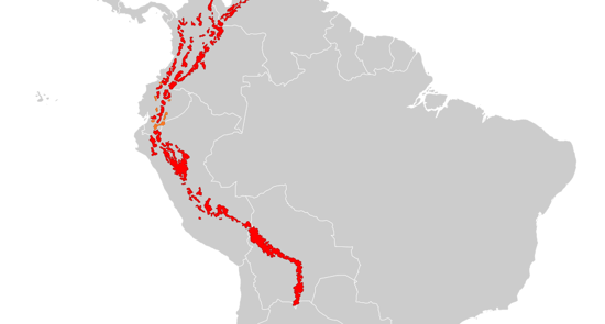 Andean spectacled bear range