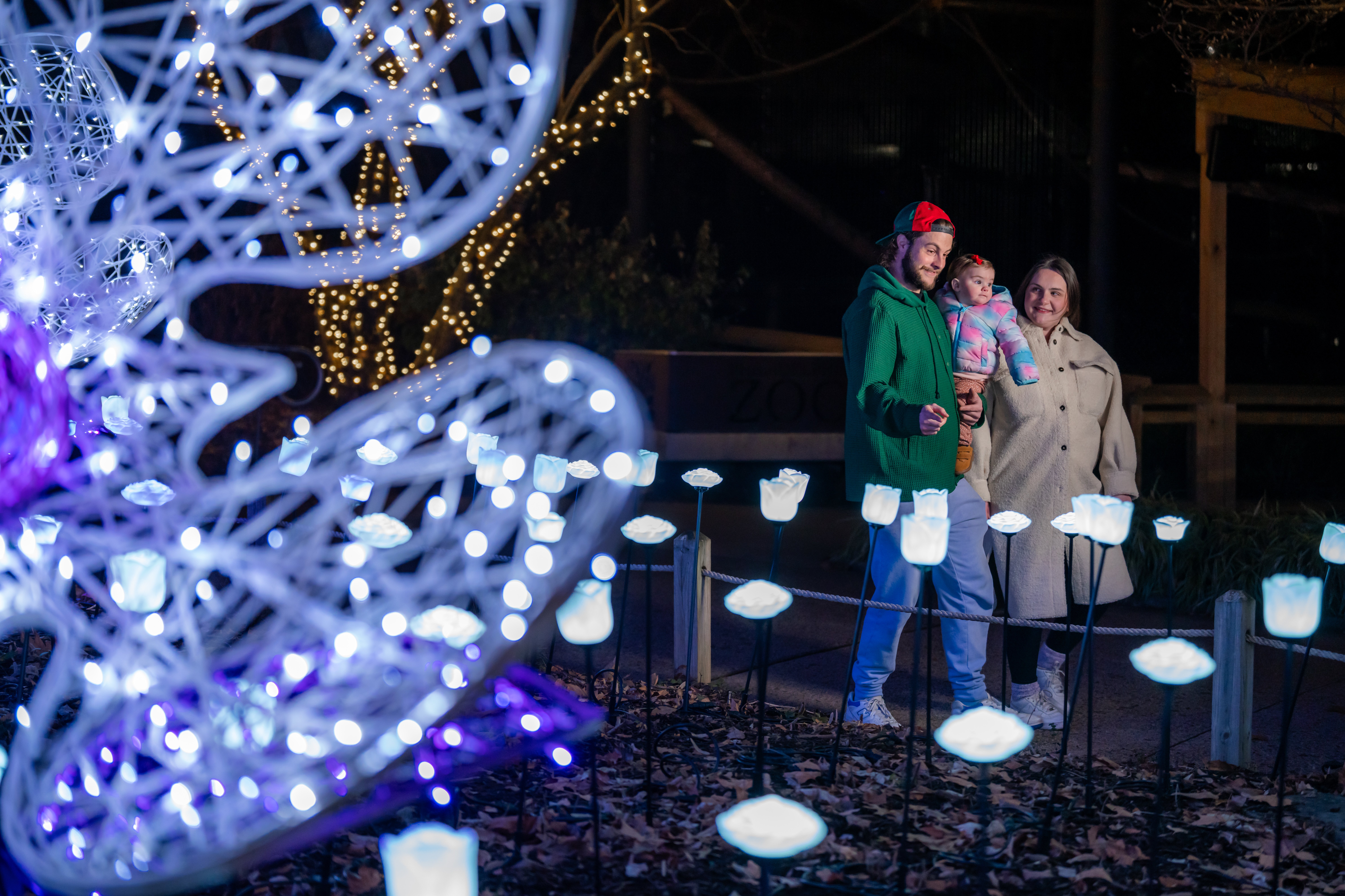 A family of three look at the lights in the flower garden at LumiNature, Philadelphia Zoo's holiday light show.