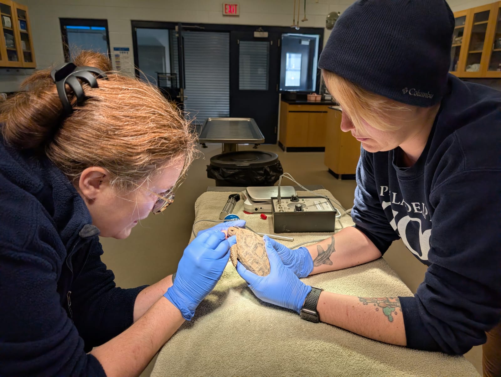 Two veterinary technicians examine a tortoise at the Philadelphia Zoo animal hospital.