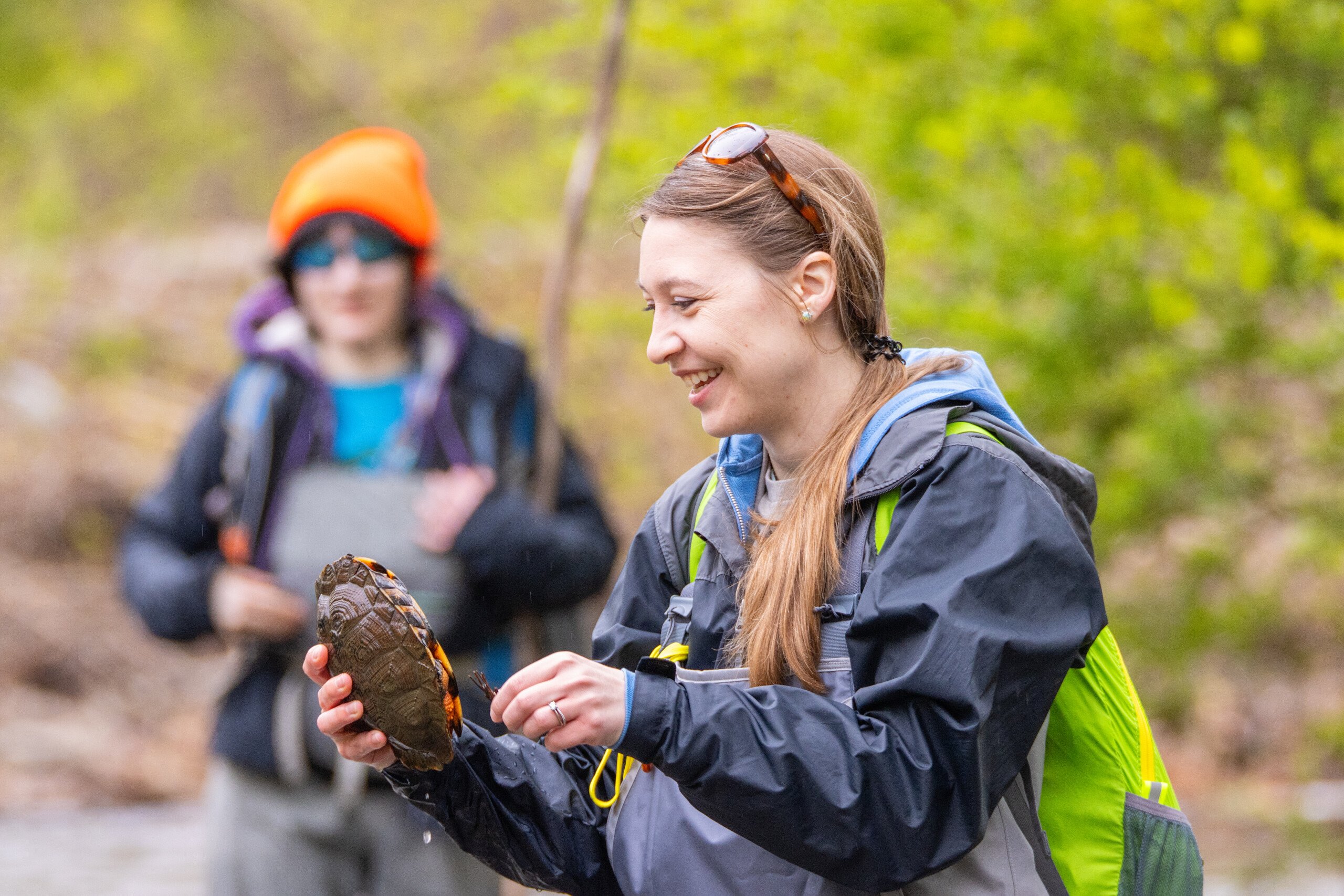 Philadelphia Zoo keeper staff partner with theTurtleRoom to survey local populations of wood turtles in Pennsylvania.