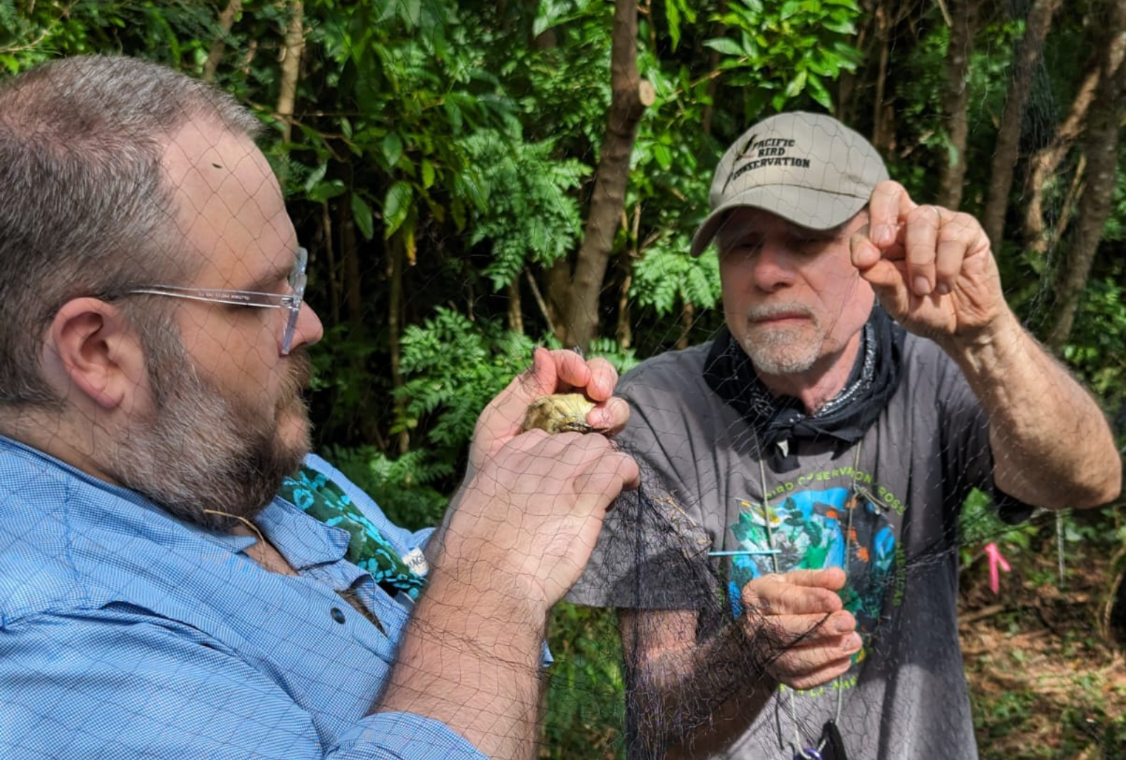 Protecting Birds Around the World: How Philadelphia Zoo Supports Bird Conservation in the Marianas Islands