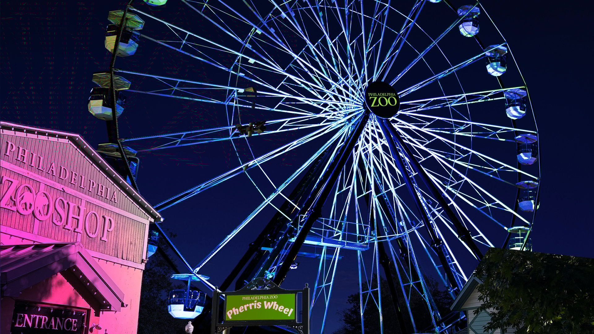 The Philly Zoo Pherris Wheel, a new addition to the Zoo's LumiNature holiday light show, lights up in the night sky.