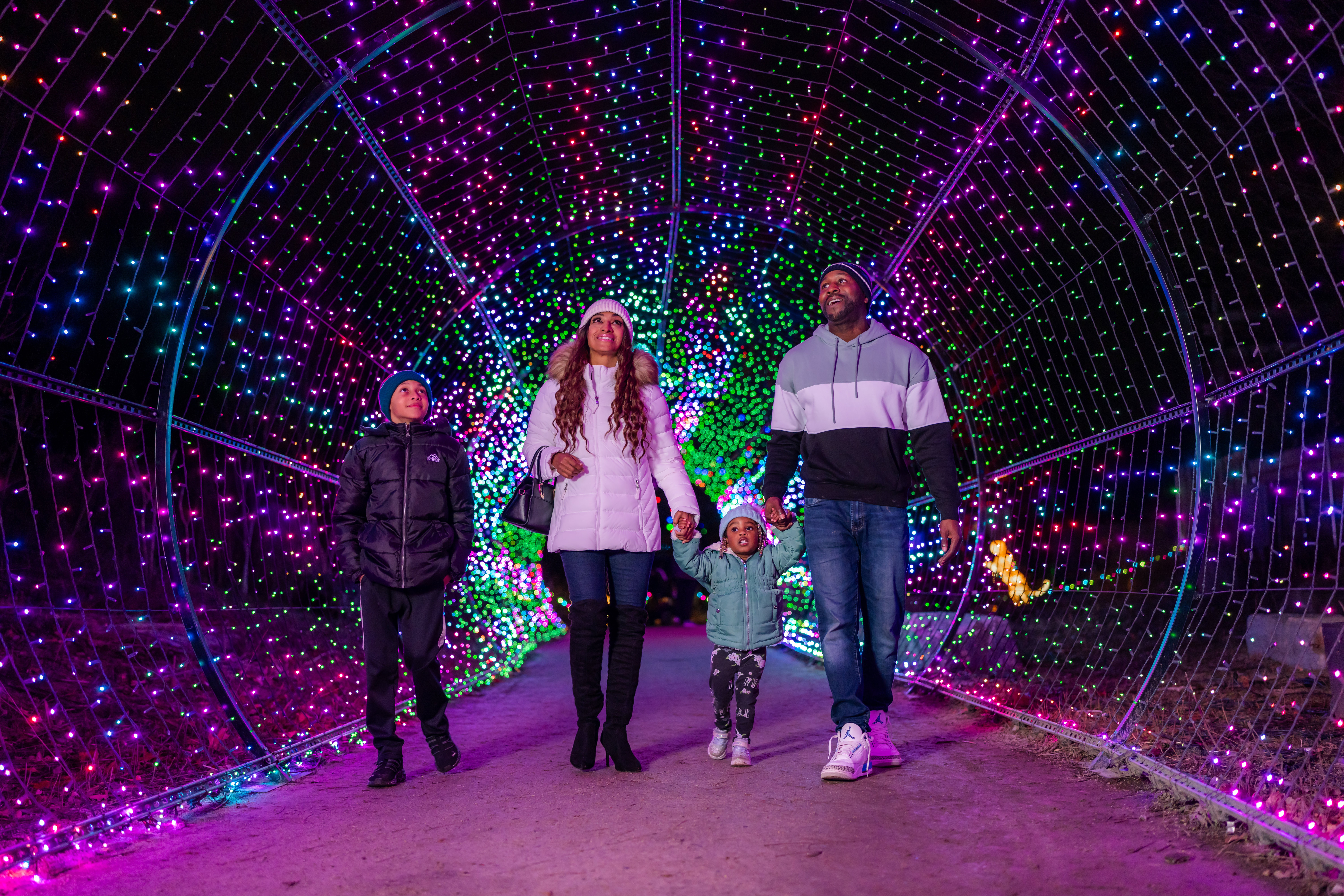 A family of four walk through the light tunnel at LumiNature, Philadelphia Zoo's holiday light show.